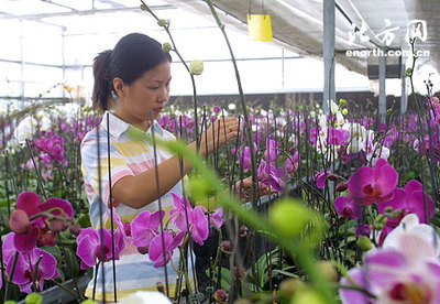 關閉化工廠環境產效益 西青加快生態區創建步伐-張家窩,環保-北方網-新聞中心